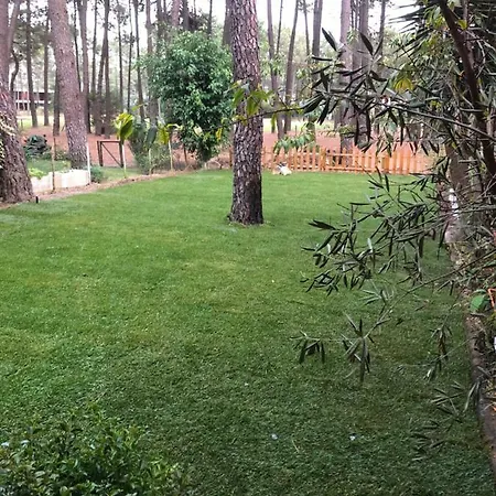 Nature & Green Aroeira * Carcereiro
